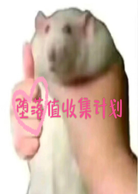 堕落值收集计划封面