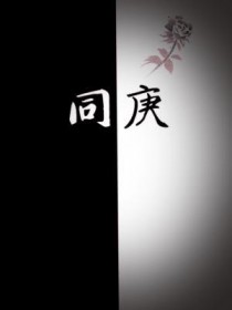 同庚封面