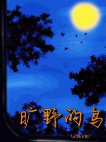 旷野的鸟封面