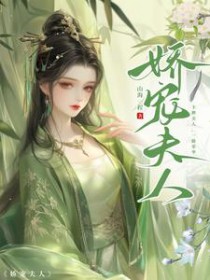 娇宠夫人封面