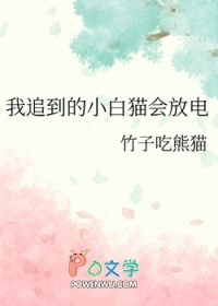 [猎人同人] 我追到的小白猫会放电封面