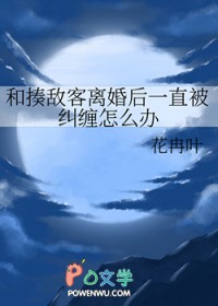 [综漫] 和揍敌客离婚后一直被纠缠怎么办封面