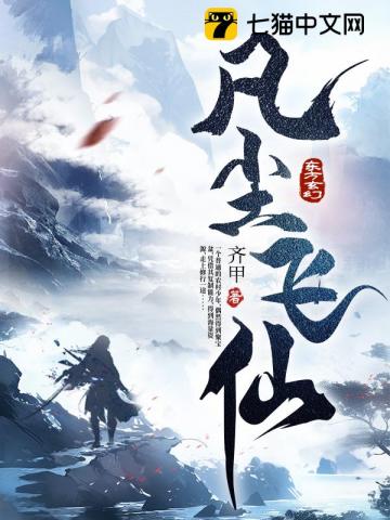 凡尘飞仙封面