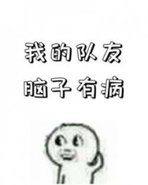 我的队友脑子有病封面