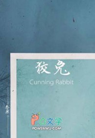 狡兔封面