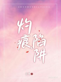 灼痕陷阱封面