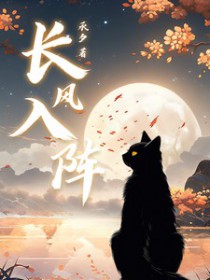 长风入阵封面